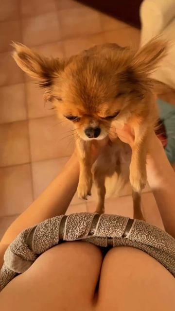 Tania Bann  Как правильно снять собачку