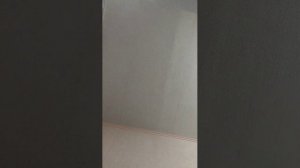 го сомной в. роблкс