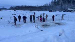 Запуск форели в акваторию !!!