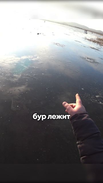 КАК ВАМ УЛОВ? #shorts #рыбалка #fishing #рыба #fish #эдвардкосичка #природа #nature #отдых #rest смотреть онлайн