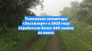 Тюменские волонтеры «ЛизаАлерт» в 2025 году отработали более 480 заявок на поиск