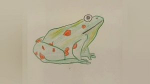 Мои живые  рисунки 😃