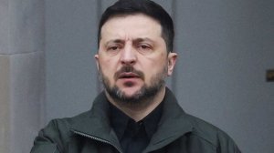 Депутат Госдумы назвал слова Зеленского о конфликте панической атакой