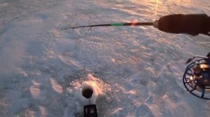 Я БЫЛ В ШОКЕ КОГДА ПОЙМАЛ ЕГО! ЗИМНЯЯ РЫБАЛКА НА БАЛАНСИР ПО ПЕРВОМУ ЛЬДУ, НА  ПРУДУ 2025-2026.