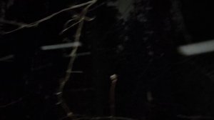 В лесу, сходил к заброшке: жуем дальше США и Венесуэлу. Инфраструктура. Трамп - делец. Путин ждёт 🤔