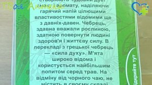 Фиточай Мудрость природы Мята и чабрец - показания, оп?