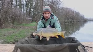 Сазан зимой на флэт фидер, хорошая рыбалка и много поклёвок