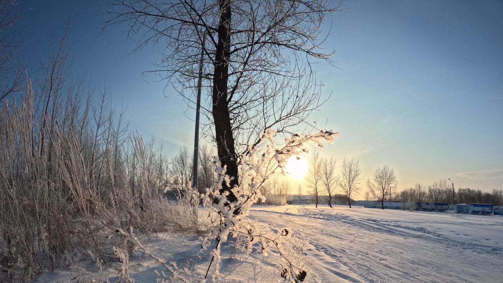 Зимние каникулы 2026 Winter Holidays 2026