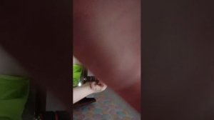 Разговариваю с подписчиками