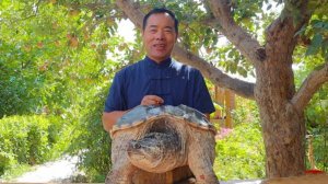 Гигантская черепаха приготовленная на красном масле. Дядюшка сельский гурман.