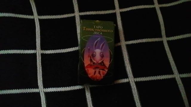 VID_20260106_145044 смотреть онлайн