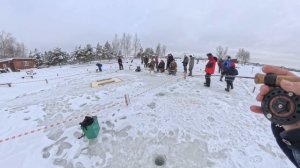 Половил сегодня форель на любимый виб