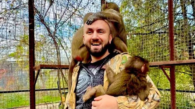 Алина принесла к Мане и Степе кипишную Анфису,которая никак не хочет контактировать с себе подобными смотреть онлайн