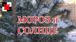 Мороз и солнце в Калининграде перед Рождеством