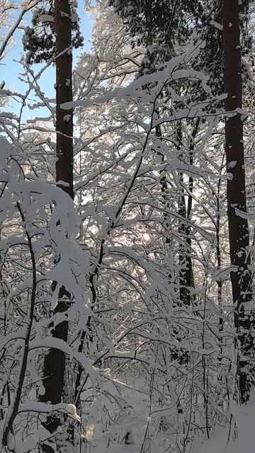 Расслабляющие звуки