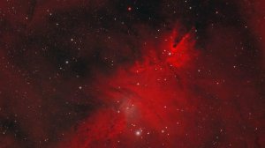 "Рождественская елка": Роскосмос опубликовал снимок необычной туманности