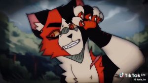 Коты воители кленовница меме