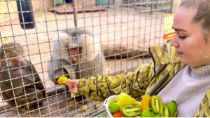 Мы принесли СТОЛЬКО ВКУСНОСТЕЙ и пока я отвлекаю Елисея и Лиду, Денис ПОДКАРМЛИВАЕТ Люську!)