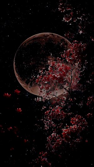 вечерняя рутина👅