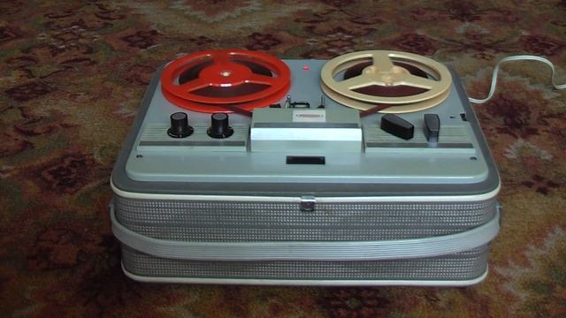 Сын поварихи и лекальщика