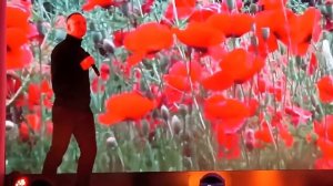 Красные маки