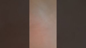 знакомства и мини влог с реборном Оливия