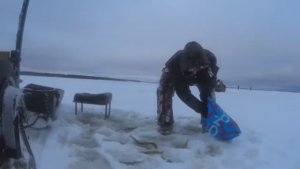 Смотрите Срочно!Секрет от деда!Закрываю рыбе глаза!Корюшка клюёт в слепую!Одна за одной