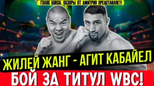 БОЙ ЗА ТИТУЛ В ТЯЖЕЛОМ ВЕСЕ! Обзор боя Жилей Жанг - Агит Кабайел