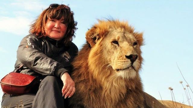 Друзья, встретимся на стриме сегодня в 13.00 на платформе Бусти❤️! смотреть онлайн