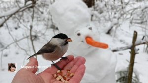 Экотерапия 73 серия.