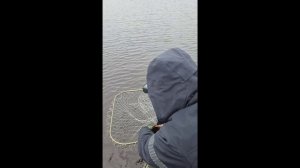 ДубноОсень2025