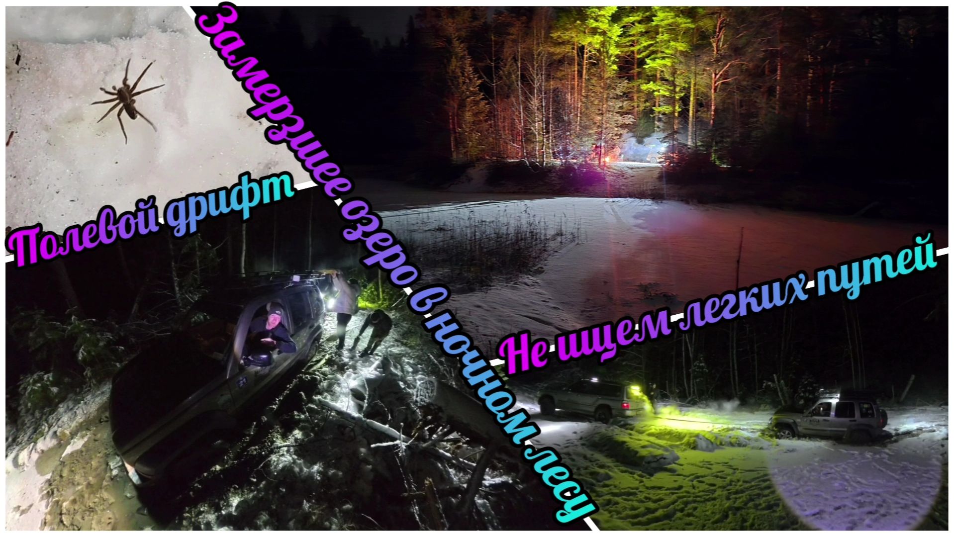 29.11.2025 Замерзшее озеро в ночном лесу. Полевой дрифт смотреть онлайн