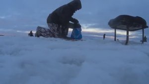 Арктика.Добывать пищу для выживания!Одним Словом!За корюшкой.На бескрайние просторы моря!