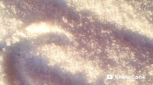 ❄️ Растворяясь в январе, тихо тает зимний день...