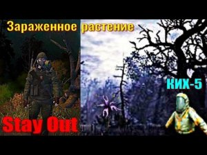 ⭐Stay Out⭐Зараженное растение . КИХ-5  ЮТУБ НЕ РОБИТ   VK - PLAY .