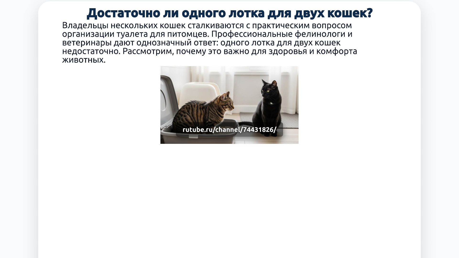 Достаточно ли одного лотка для двух кошек?