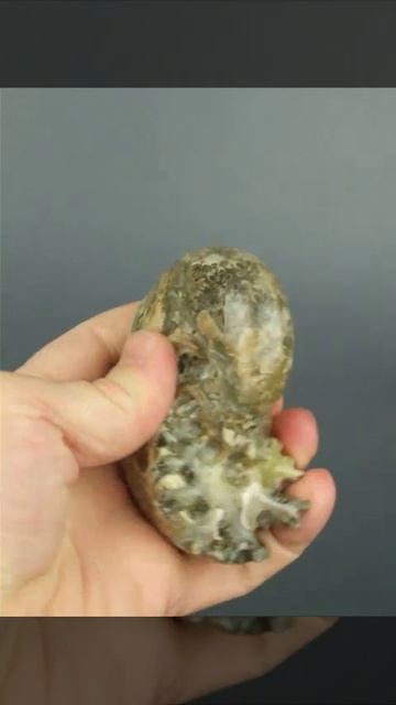 Аммонит 1202 смотреть онлайн