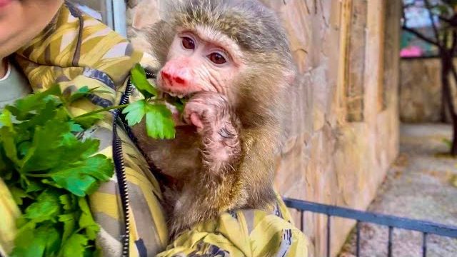 Анфиса ЕДЕТ В ГОСТИ, а Финик начал ее встречать АЖ С ПОРОГА! смотреть онлайн