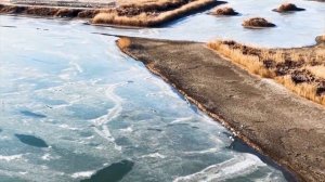 ❄️🌾 Зимняя уборка камыша в Ляонине помогает перелётным птицам