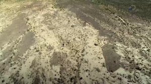 Эд Стаффорд: Игра на вылет 1 сезон 2 серия (реалити-шоу, 2019)