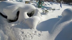 Рождество пришло на Землю!