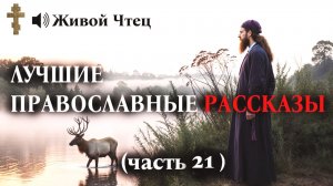 ЛУЧШИЕ ПРАВОСЛАВНЫЕ РАССКАЗЫ часть 21