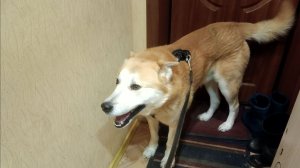 Вот такие у нас Друзья. Два друга.