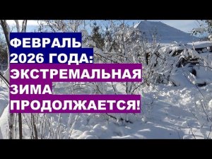 Февраль 2026 года: экстремальная зима продолжается!