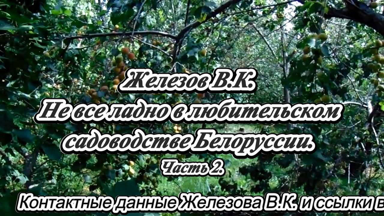 Железов В.К. Не все ладно в любительском садоводстве Белоруссии. Часть 2. смотреть онлайн