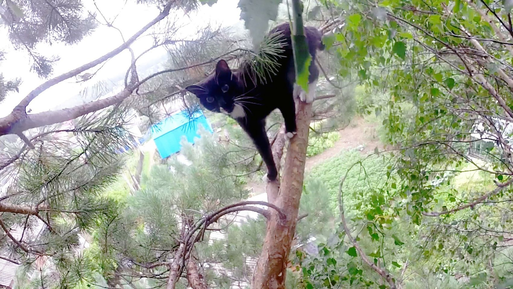 Клёпа смотреть онлайн