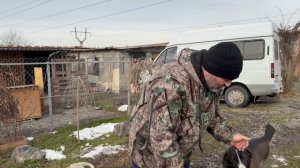 День Стольника в Пушистом санатории