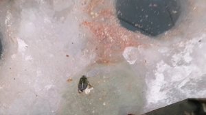 РЫБАЛКА НА КАРАСЯ. ОЗЕРО АТЯЖ. 04.01.2025