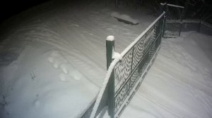 LIVE: channel74055310