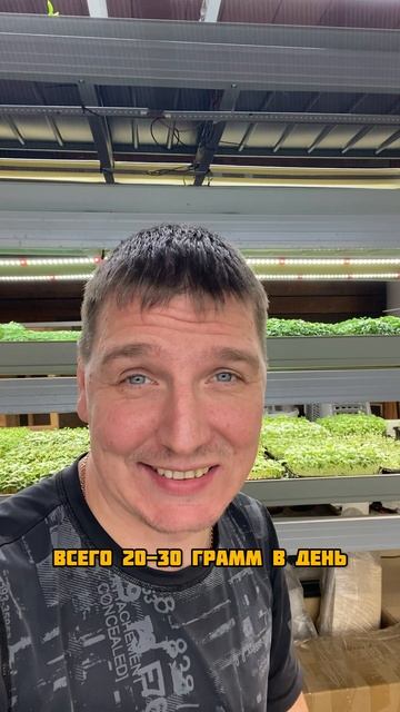 Микрозелень не для красоты смотреть онлайн